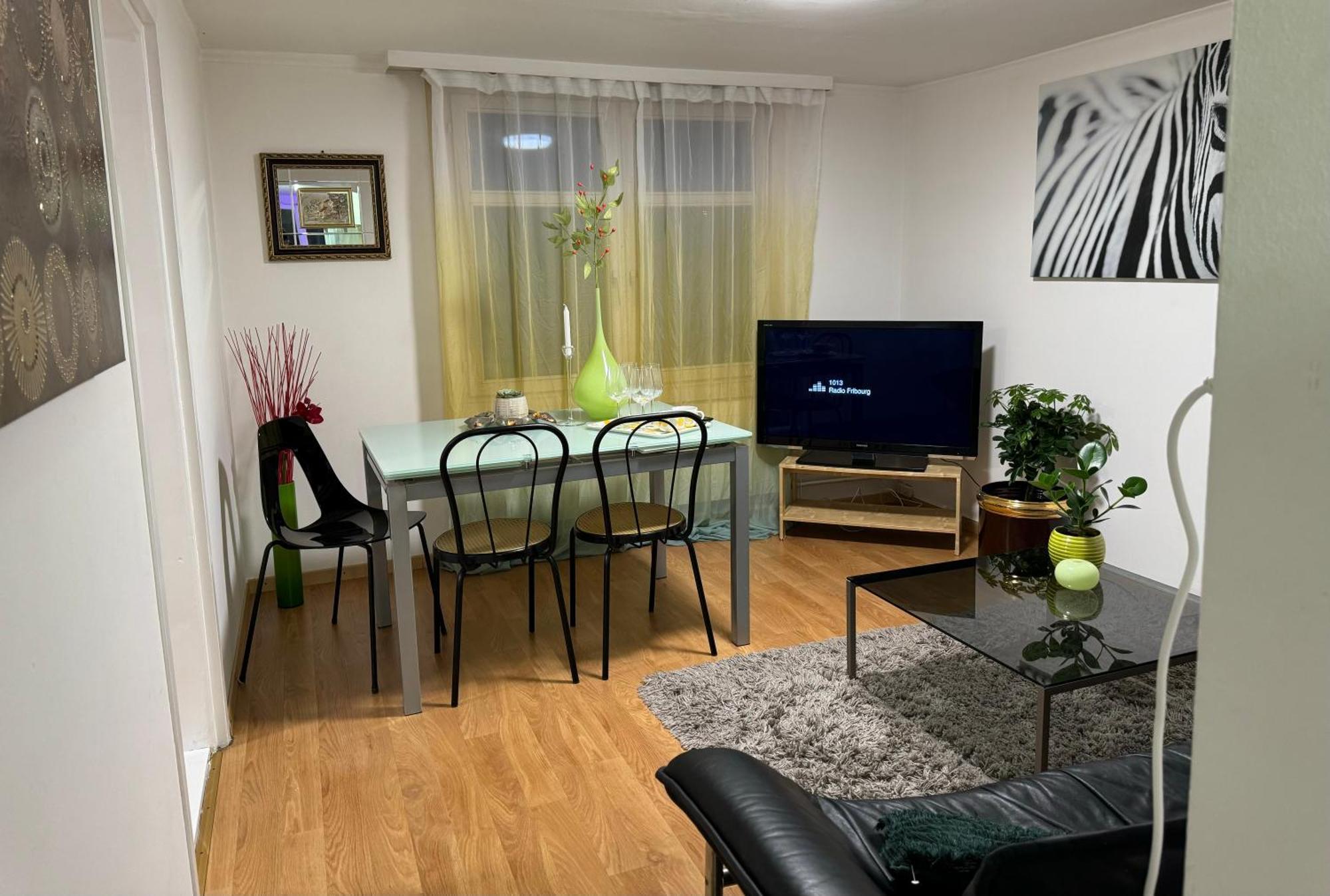 Nice Apartment 圣加仑 外观 照片