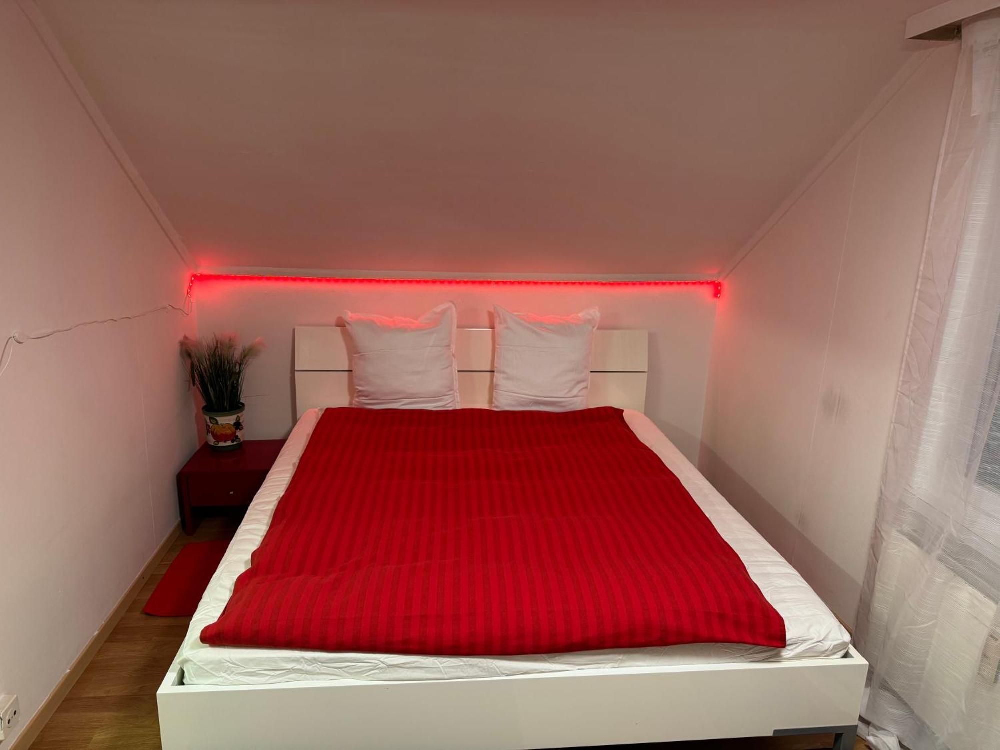 Nice Apartment 圣加仑 外观 照片